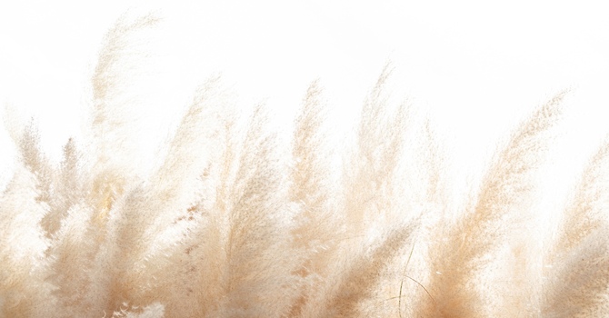 Individual Licensure Supervision